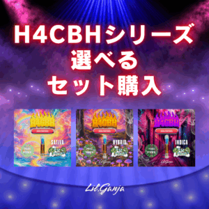 H4CBHセット購入