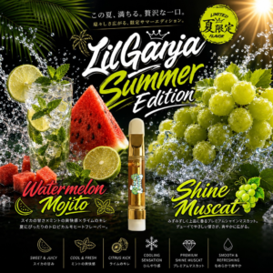 【Summer Edition】